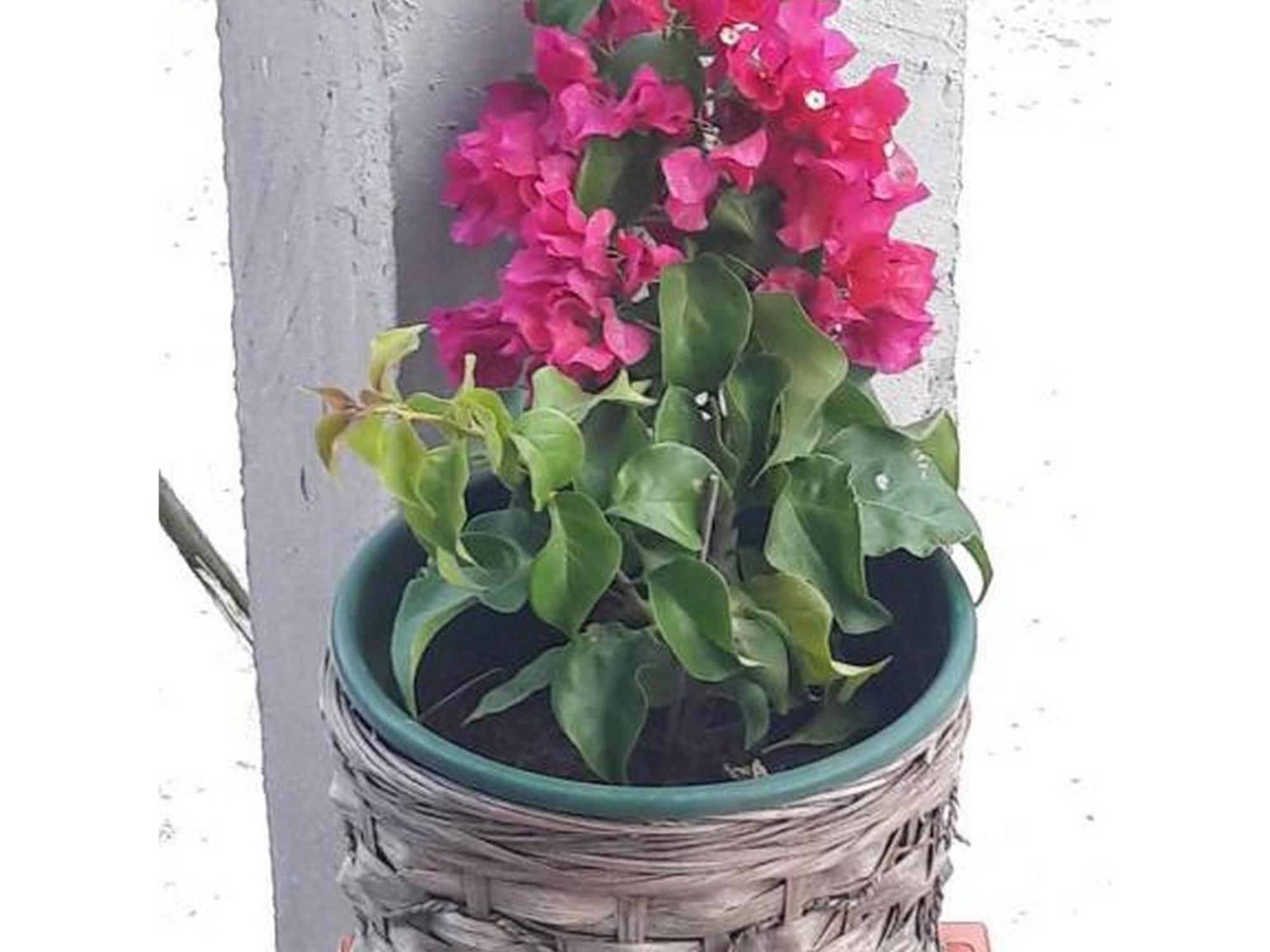 Home Lucic Lozovac Kültér fotó