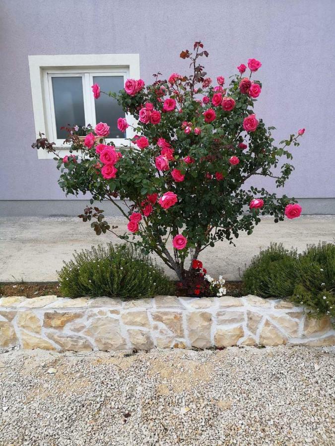 Home Lucic Lozovac Kültér fotó